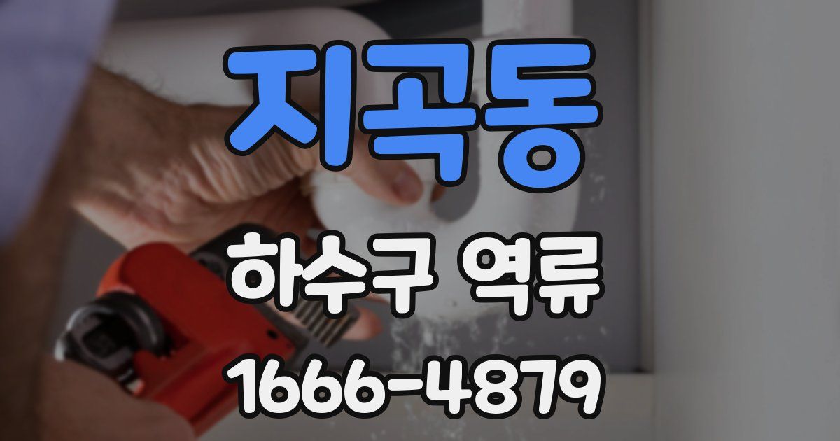 지곡동 하수구 역류