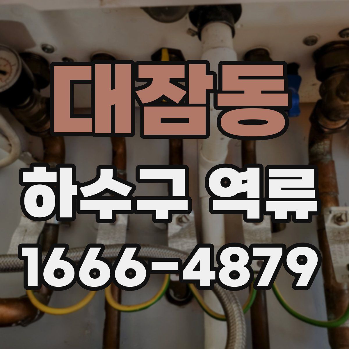 대잠동 하수구 역류