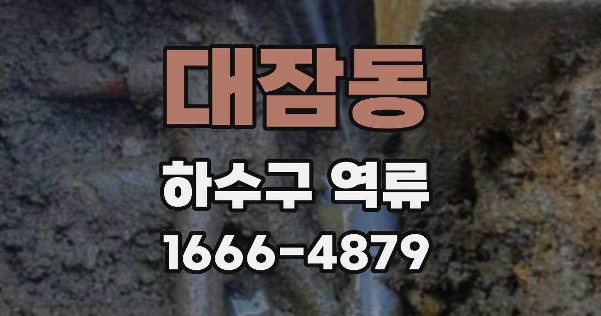 대잠동 하수구 역류