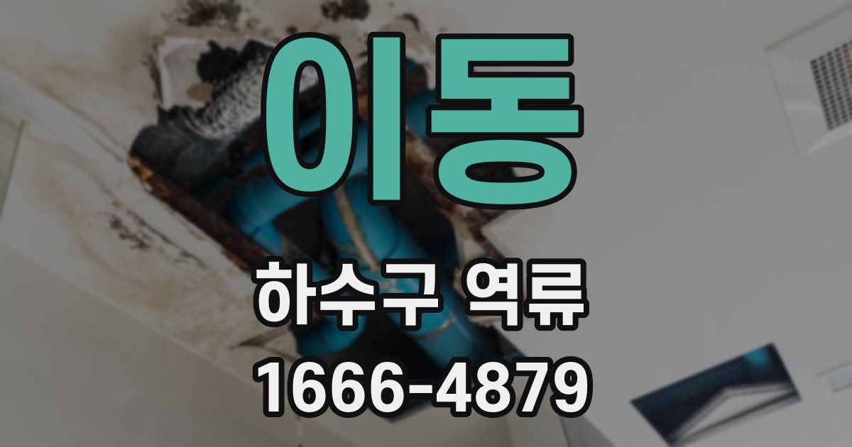 이동 하수구 역류
