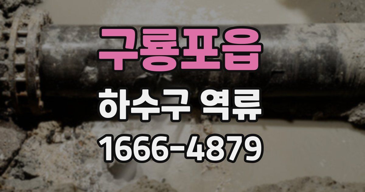 구룡포읍 하수구 역류