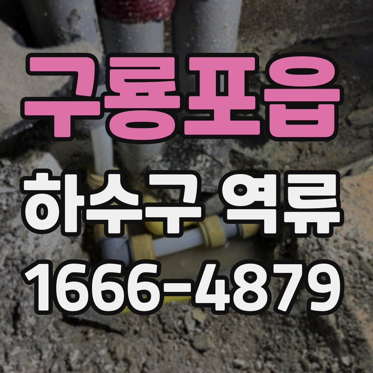 구룡포읍 하수구 역류