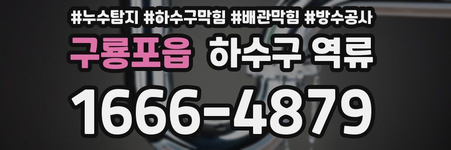 구룡포읍 하수구 역류