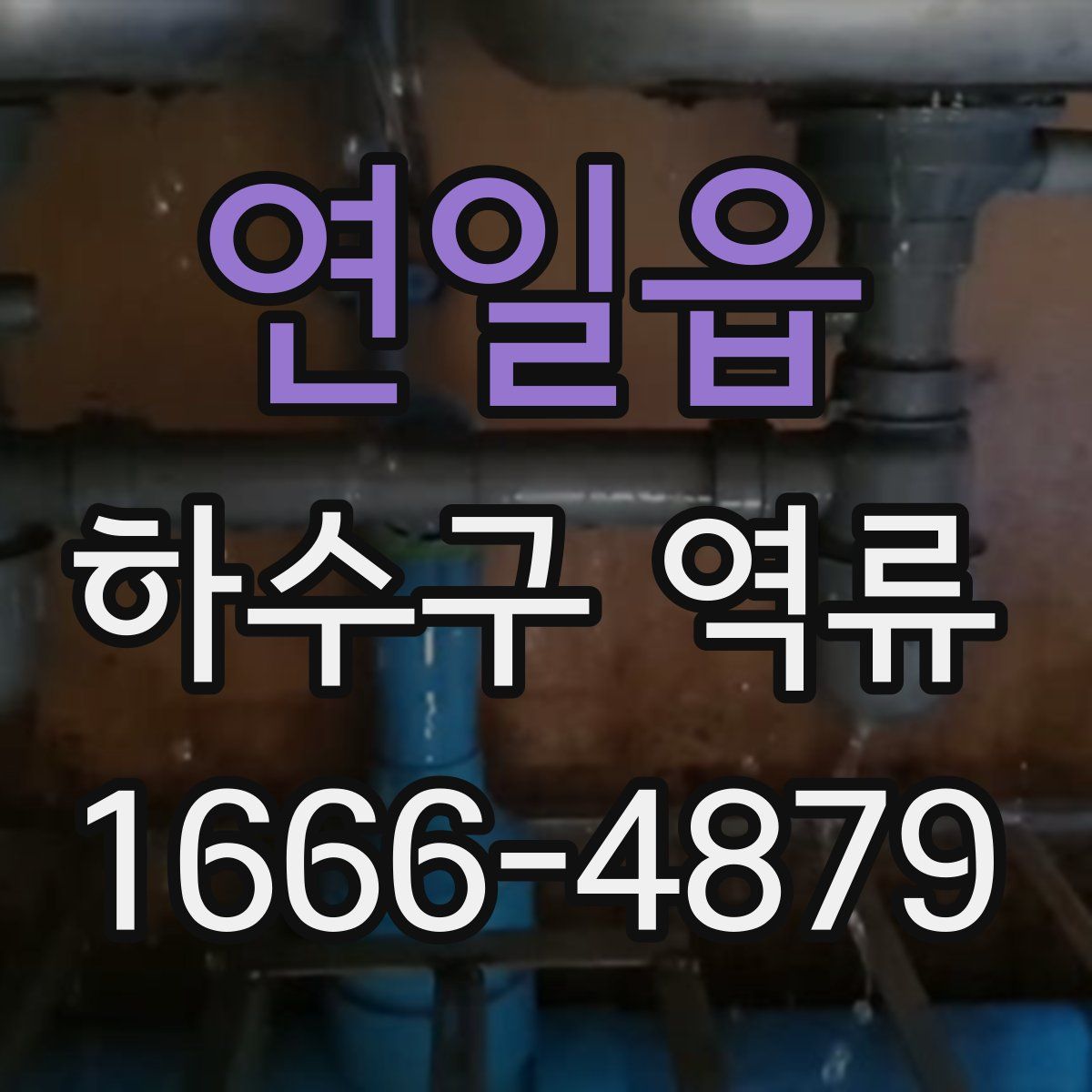 연일읍 하수구 역류