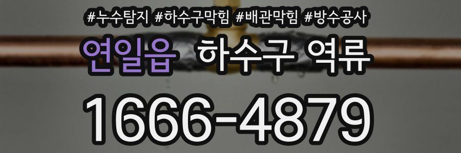 연일읍 하수구 역류