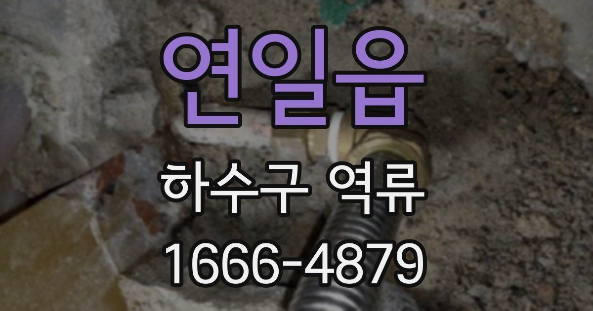 연일읍 하수구 역류