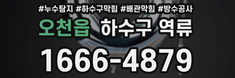 오천읍 하수구 역류