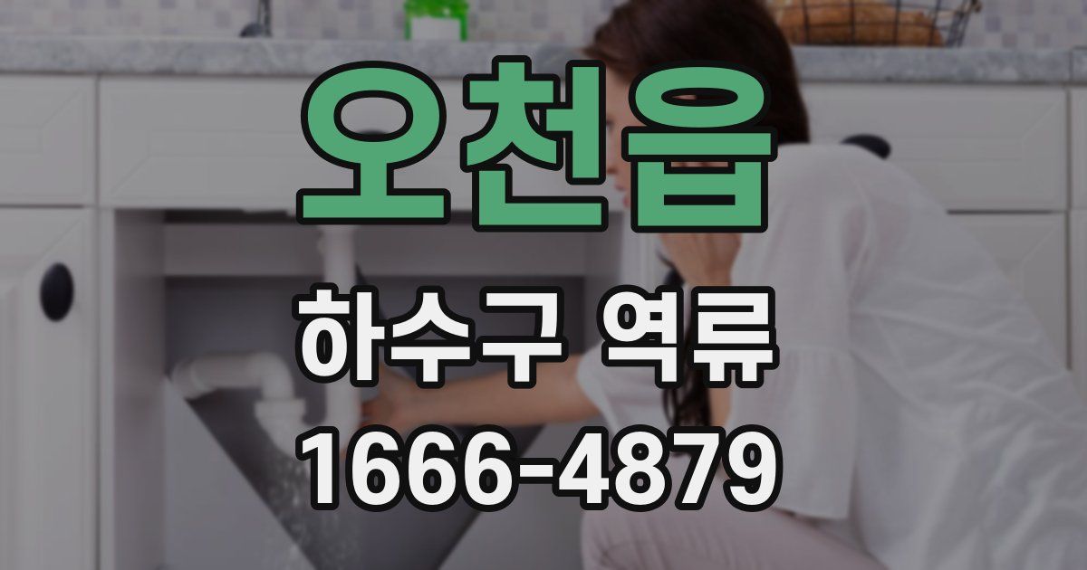 오천읍 하수구 역류
