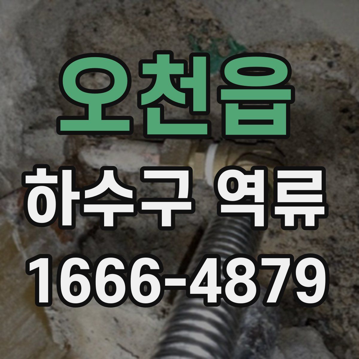 오천읍 하수구 역류