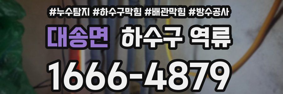 대송면 하수구 역류