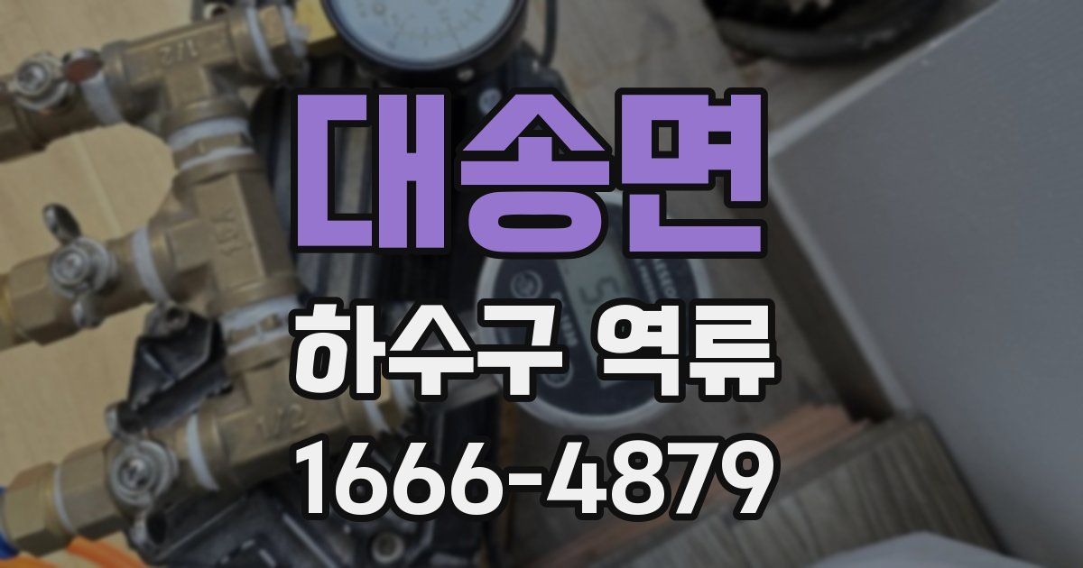 대송면 하수구 역류