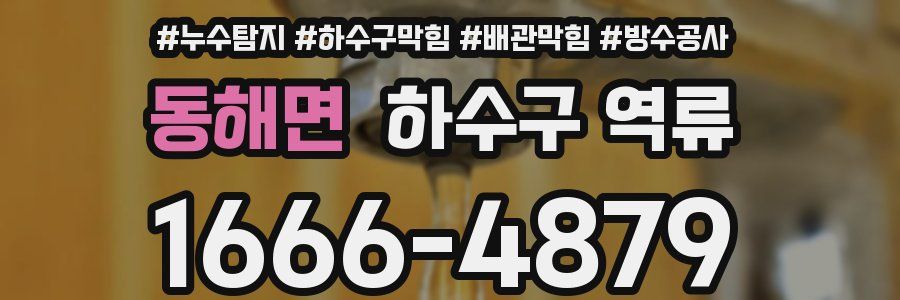 동해면 하수구 역류
