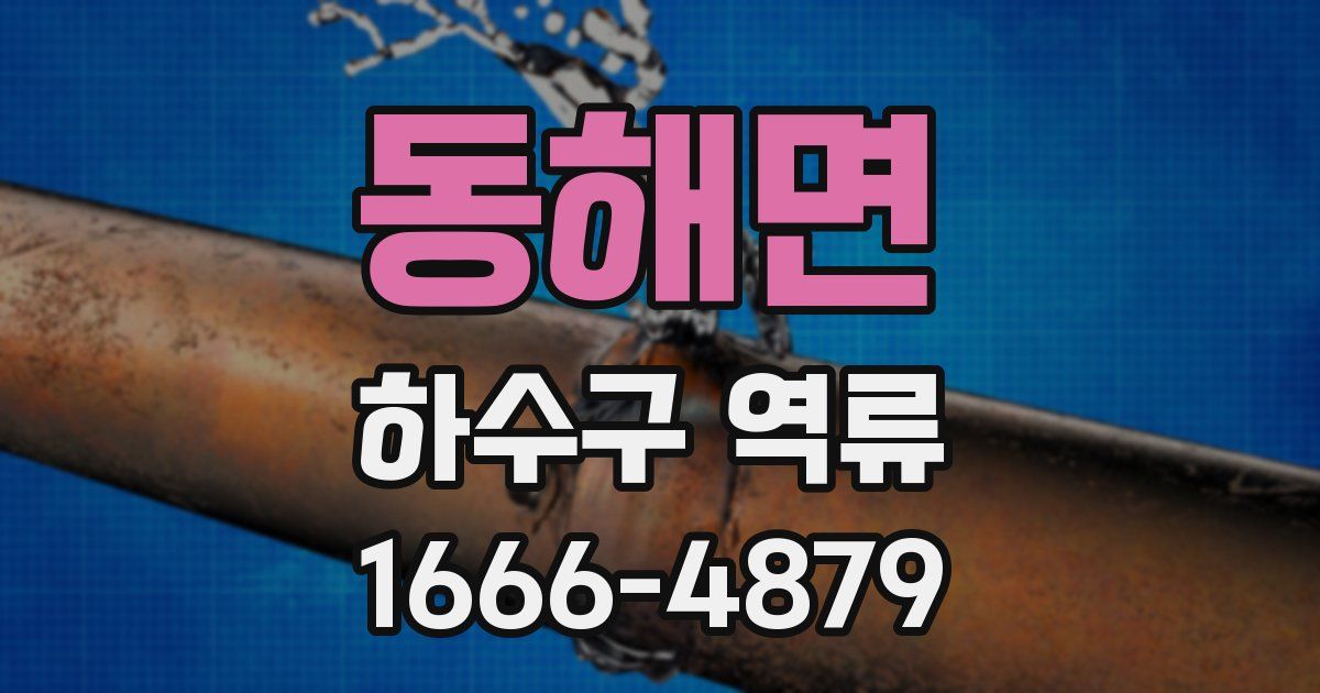 동해면 하수구 역류