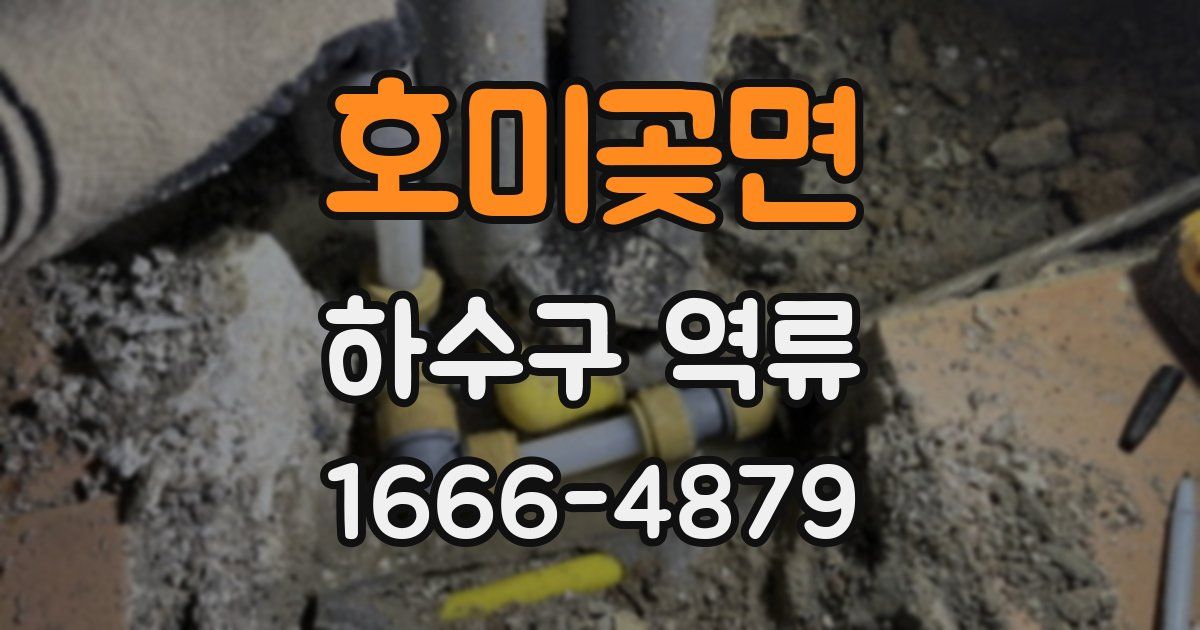 호미곶면 하수구 역류