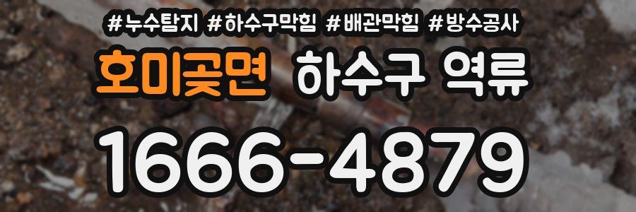 호미곶면 하수구 역류