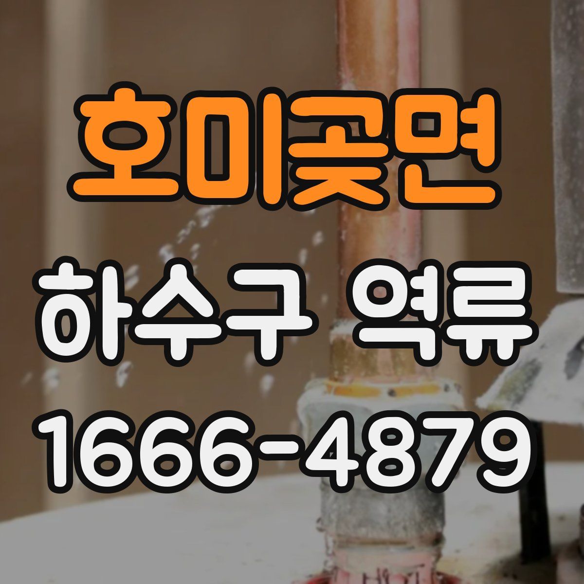 호미곶면 하수구 역류