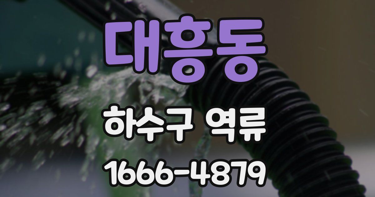 대흥동 하수구 역류