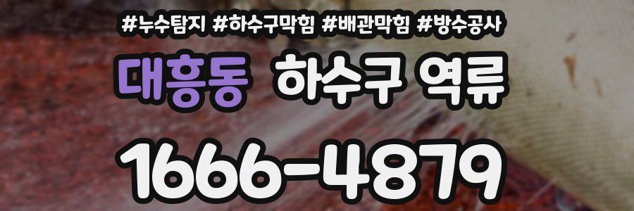 대흥동 하수구 역류