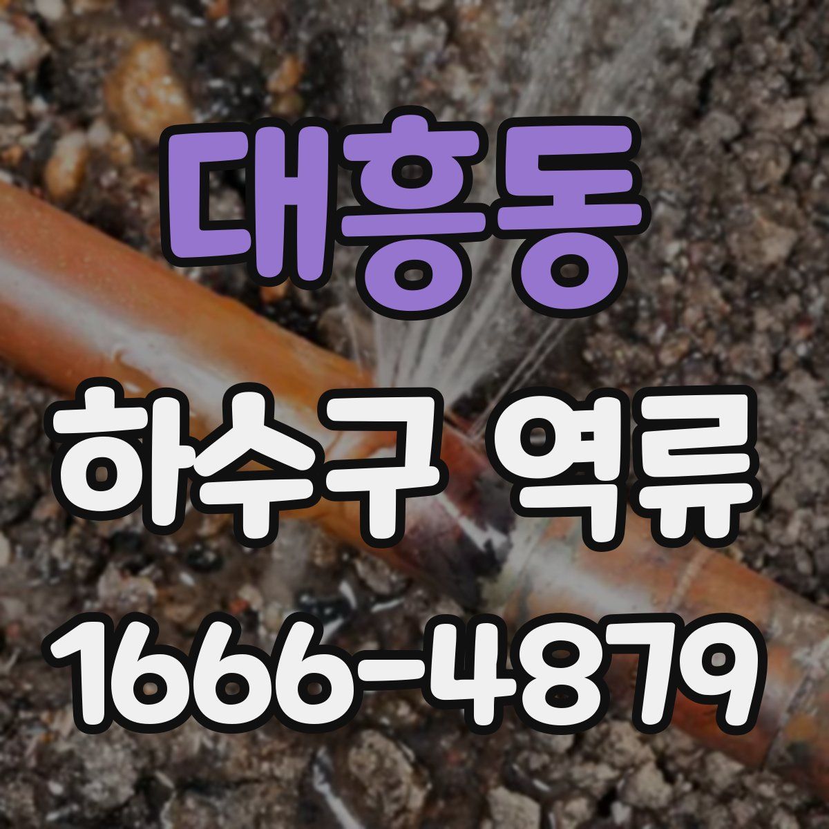 대흥동 하수구 역류