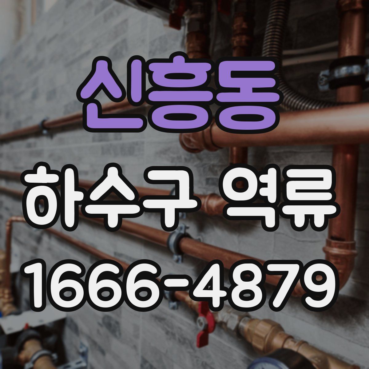 신흥동 하수구 역류