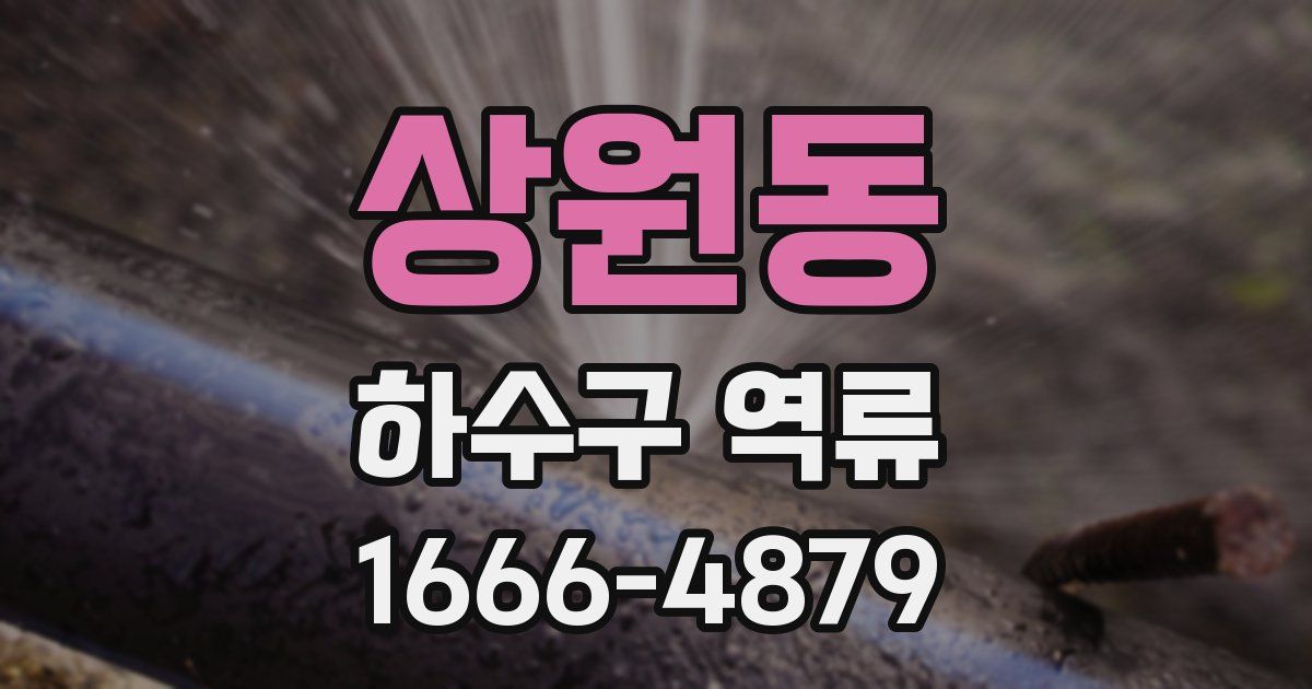 상원동 하수구 역류