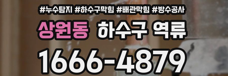 상원동 하수구 역류