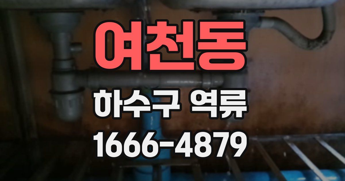 여천동 하수구 역류