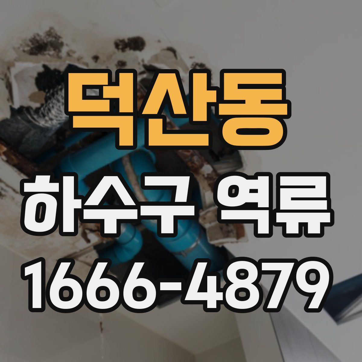덕산동 하수구 역류