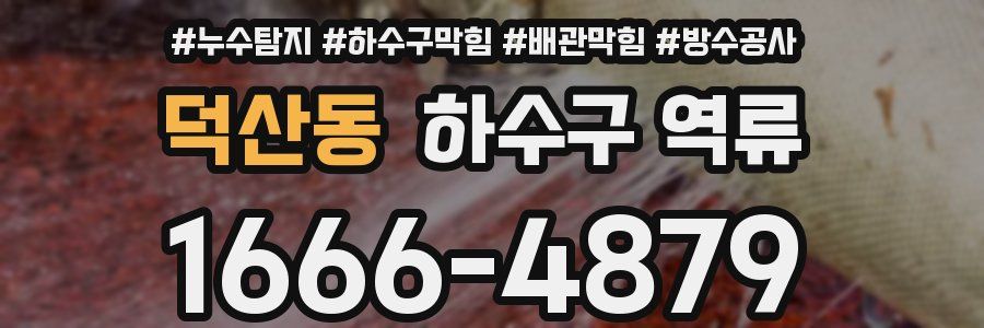 덕산동 하수구 역류