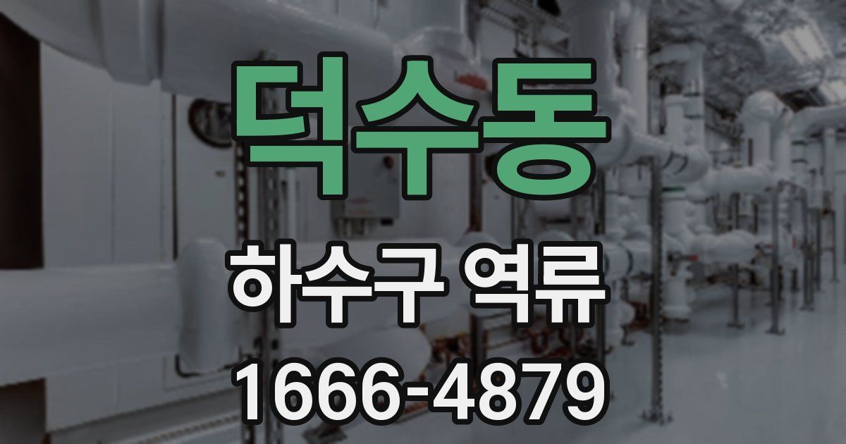덕수동 하수구 역류