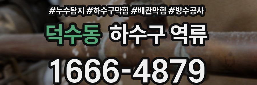 덕수동 하수구 역류
