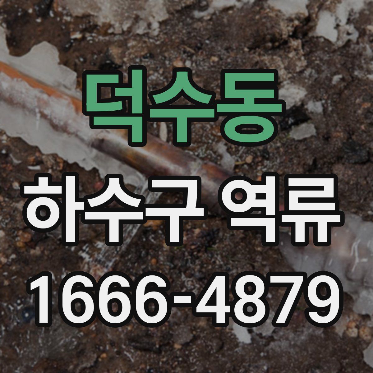 덕수동 하수구 역류
