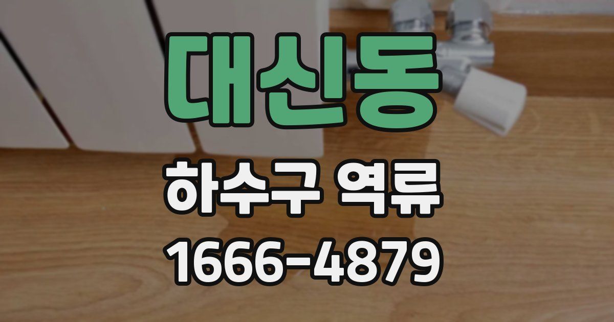 대신동 하수구 역류