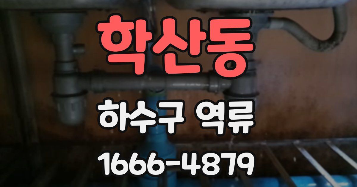 학산동 하수구 역류