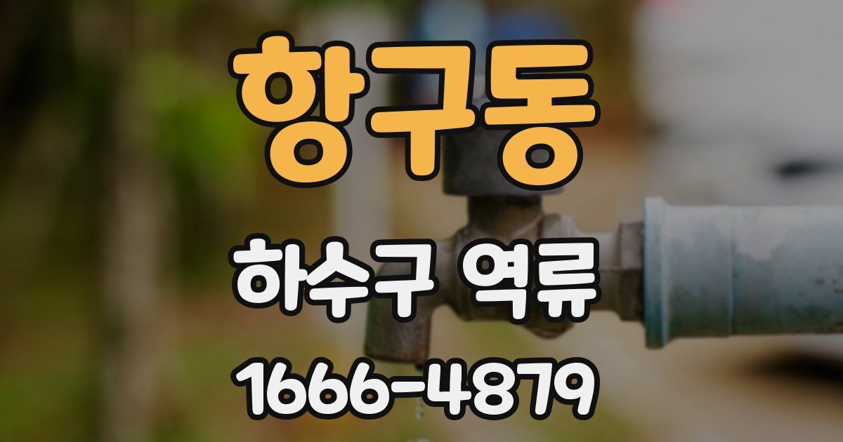 항구동 하수구 역류