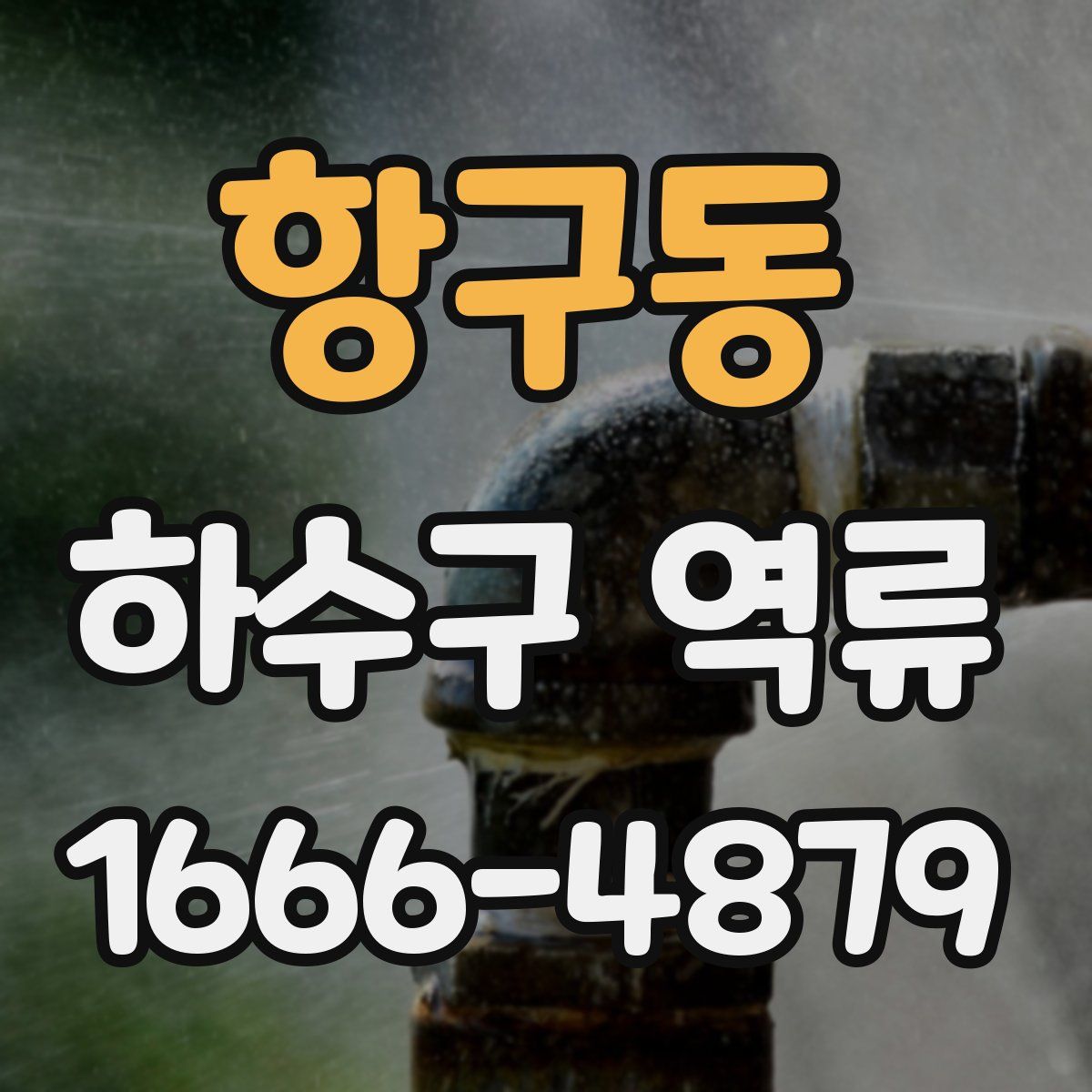 항구동 하수구 역류
