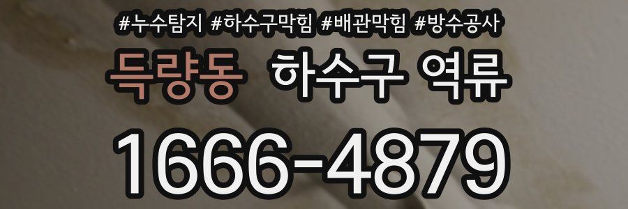 득량동 하수구 역류