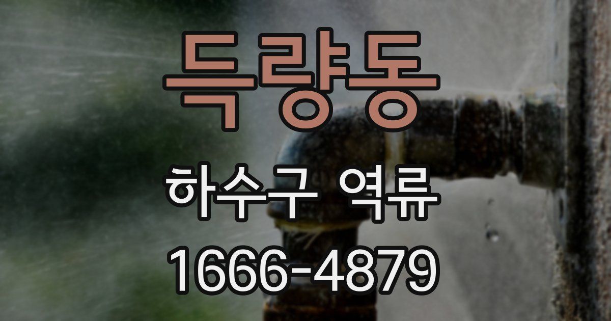득량동 하수구 역류