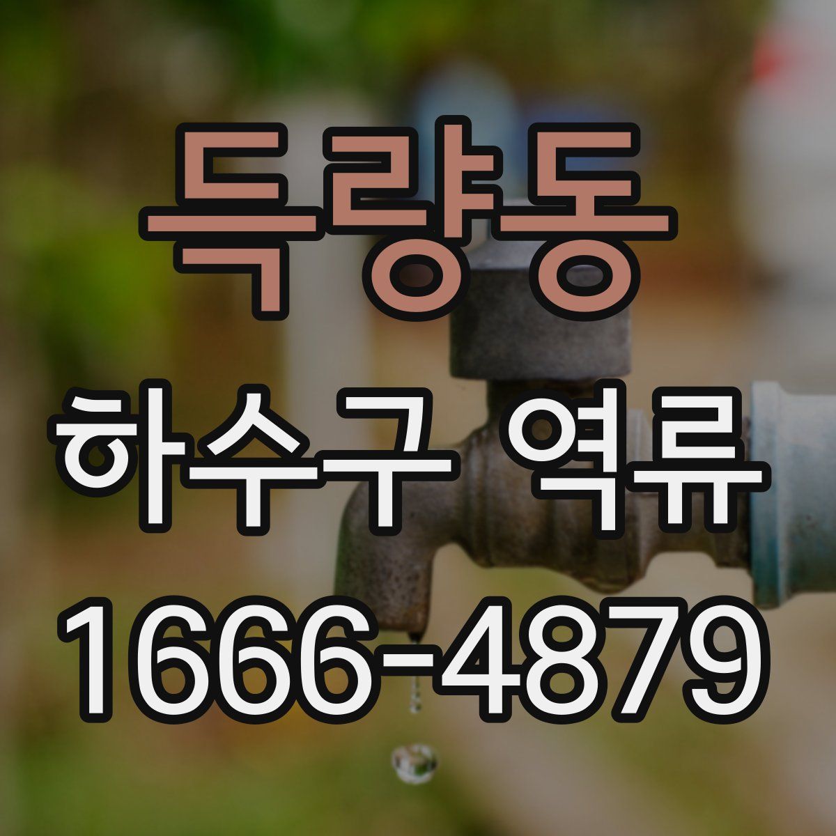 득량동 하수구 역류