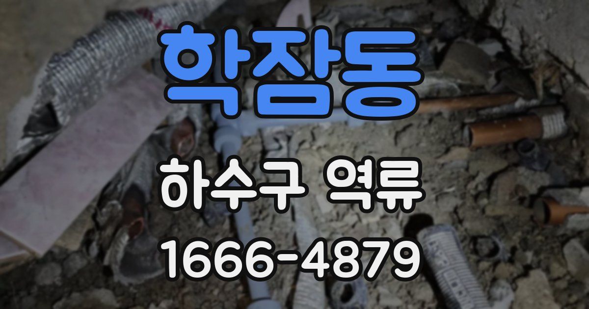 학잠동 하수구 역류
