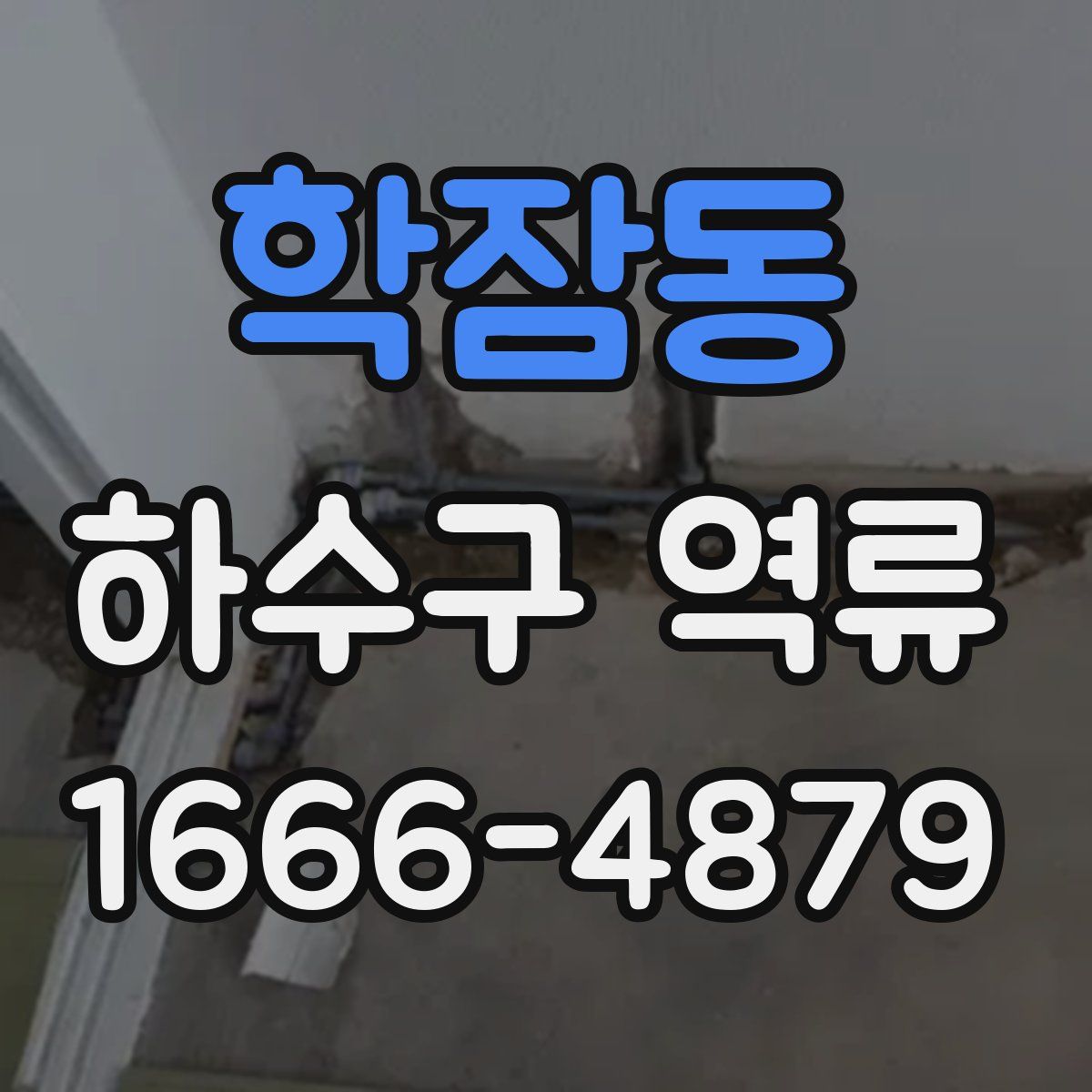 학잠동 하수구 역류
