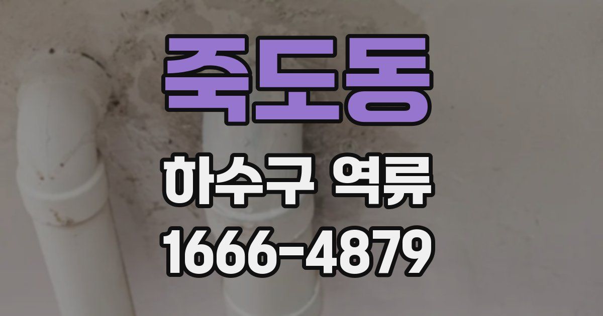 죽도동 하수구 역류