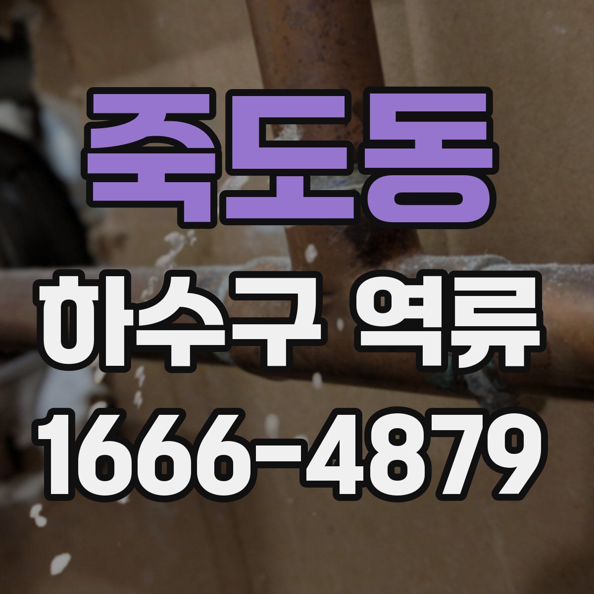죽도동 하수구 역류
