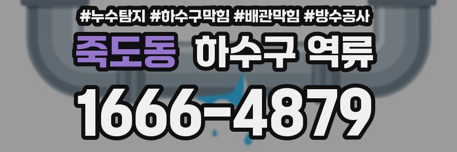 죽도동 하수구 역류