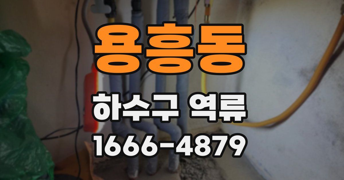 용흥동 하수구 역류