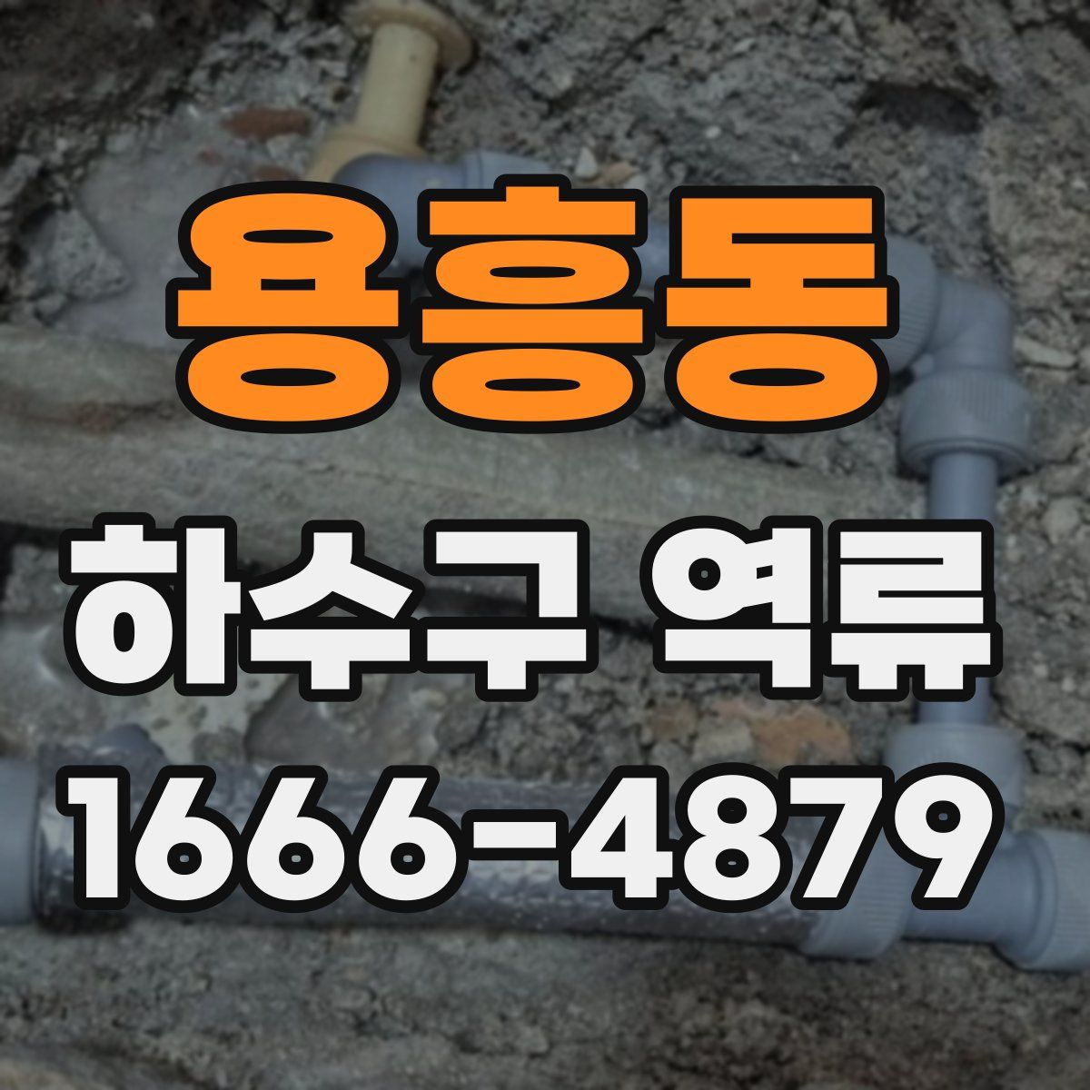 용흥동 하수구 역류