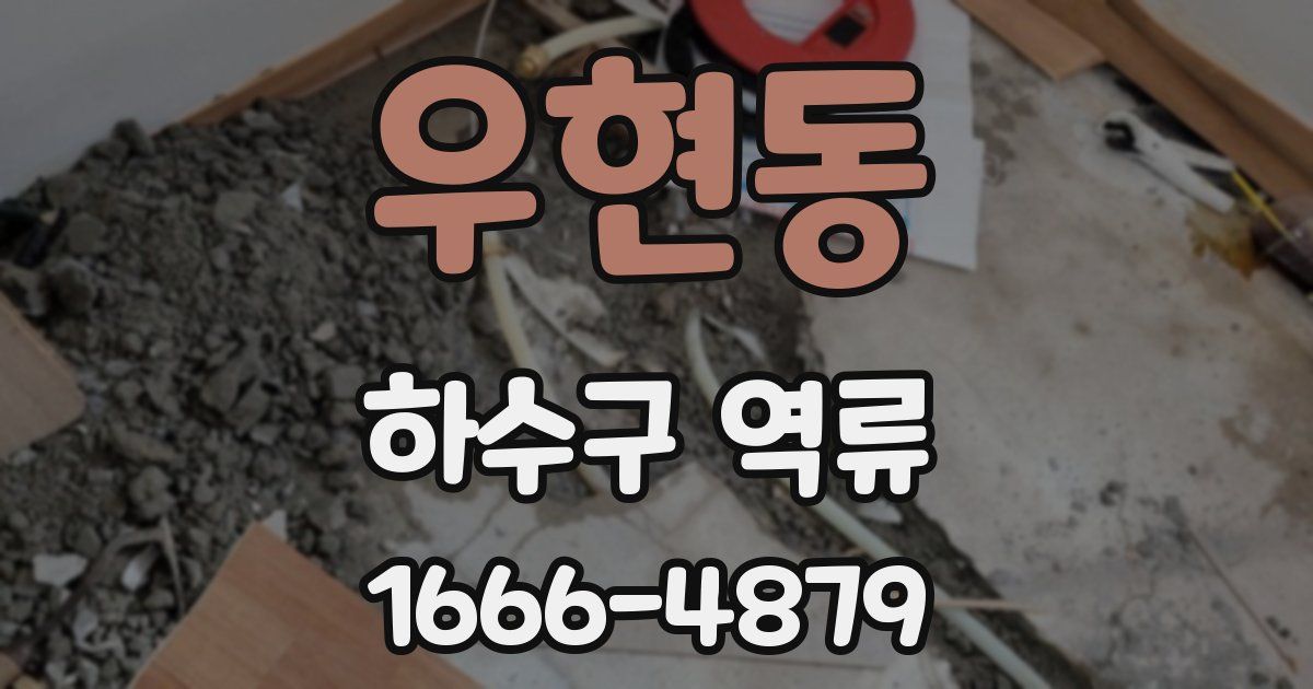 우현동 하수구 역류
