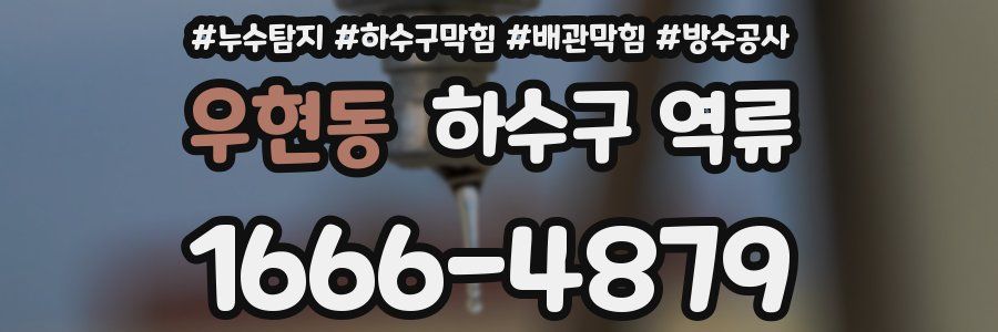 우현동 하수구 역류