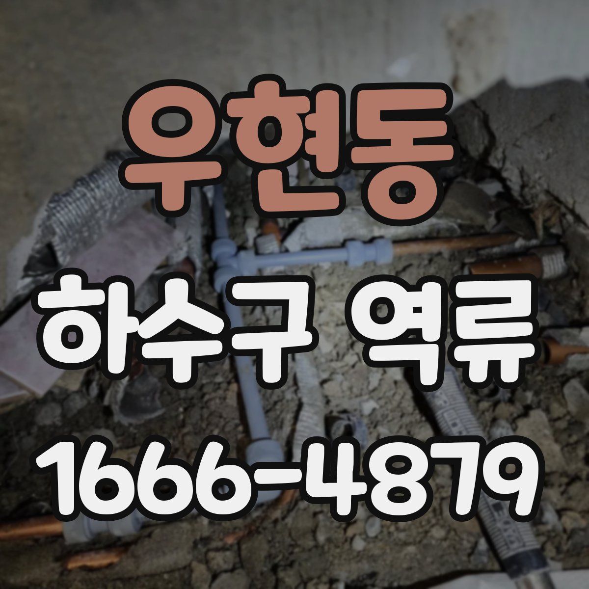 우현동 하수구 역류