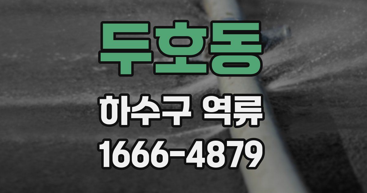 두호동 하수구 역류